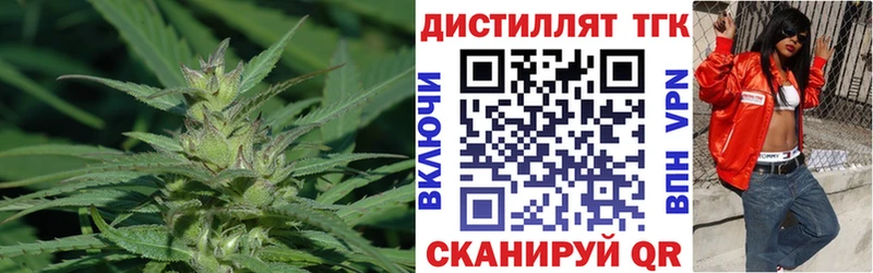 Дистиллят ТГК THC oil где найти наркотики MEGA ССЫЛКА Зеленоградск